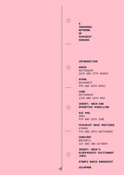 A Traversal Network of Feminist Servers by Wendy Van Wynsberghe et al.